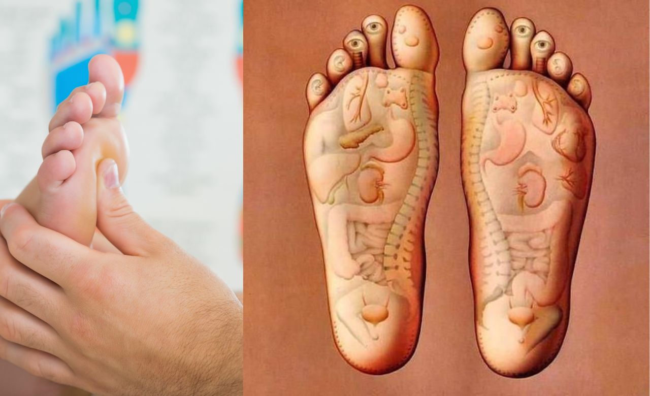 Reflexologia Conexão entre Pés e Corpo